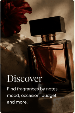 Discover