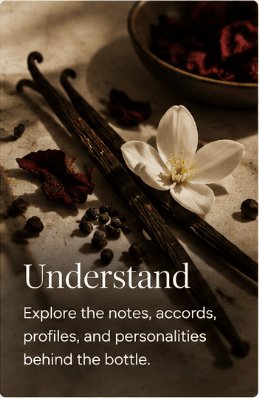 Understand