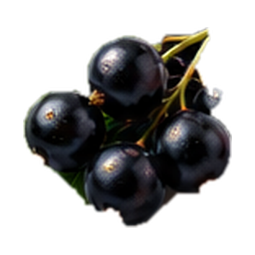 Blackcurrant note