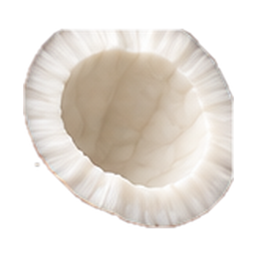 Coconut note