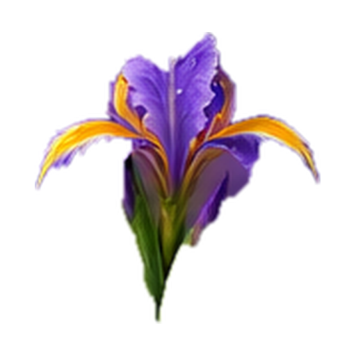 Iris note