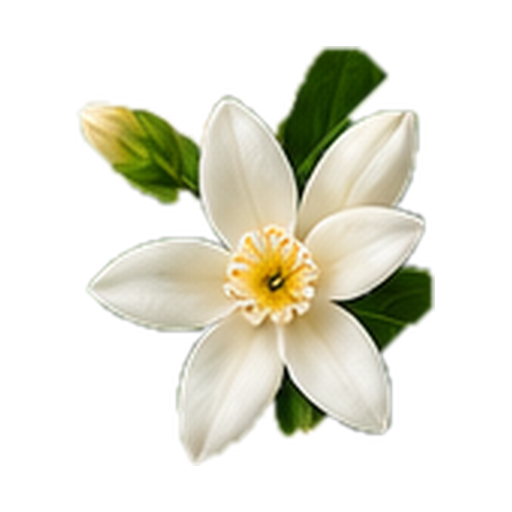 Neroli note