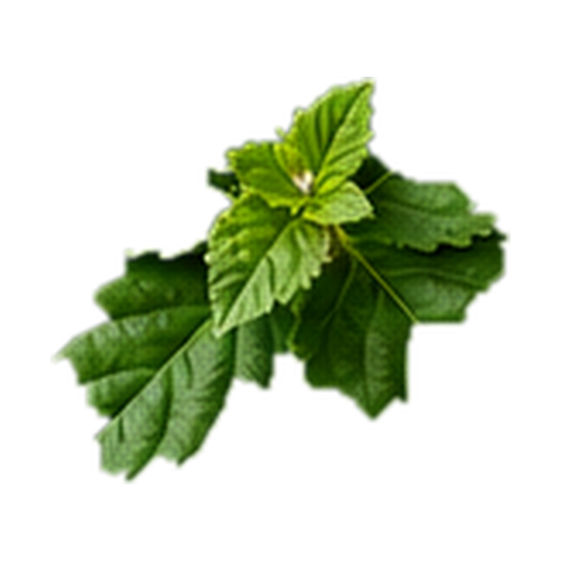 Patchouli note