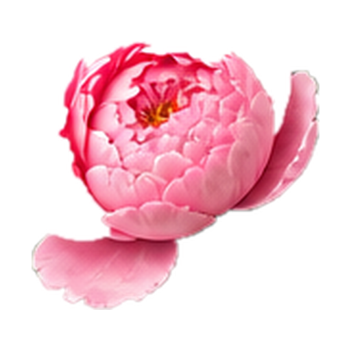 Peony note