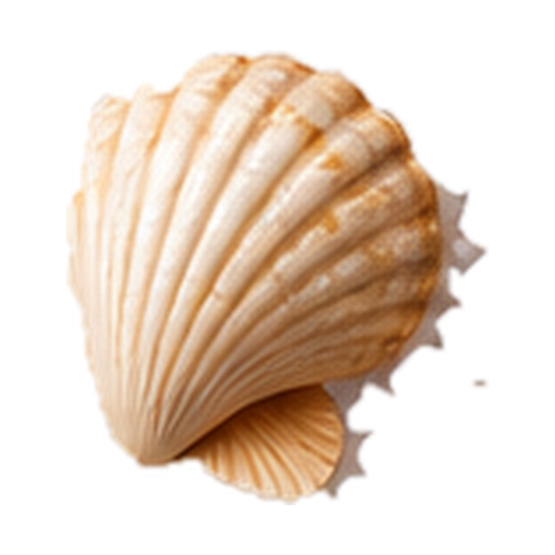 Sea Salt note