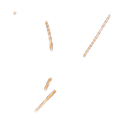 Tobacco note