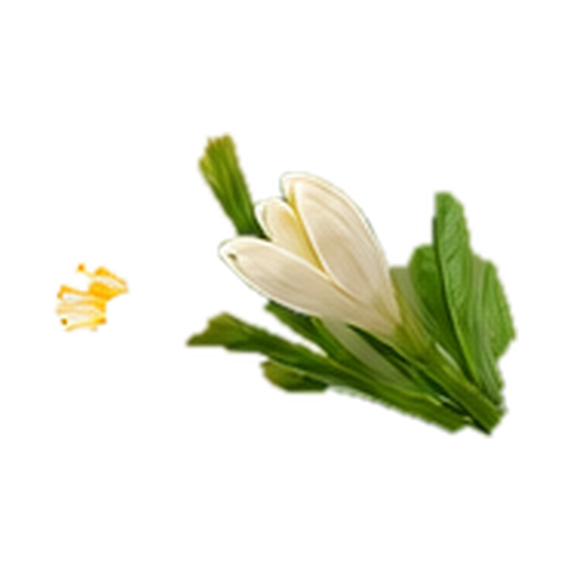 Tuberose note